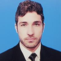 Irfan U. - Ph.D. - Subject Matter Expert from Kolabtree