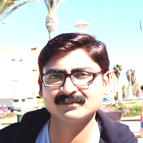 Narendra R. - Master of Business Administration - MBA - Subject Matter Expert from Kolabtree