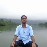 Ann Naser N. - BSc in Economics - Subject Matter Expert from Kolabtree