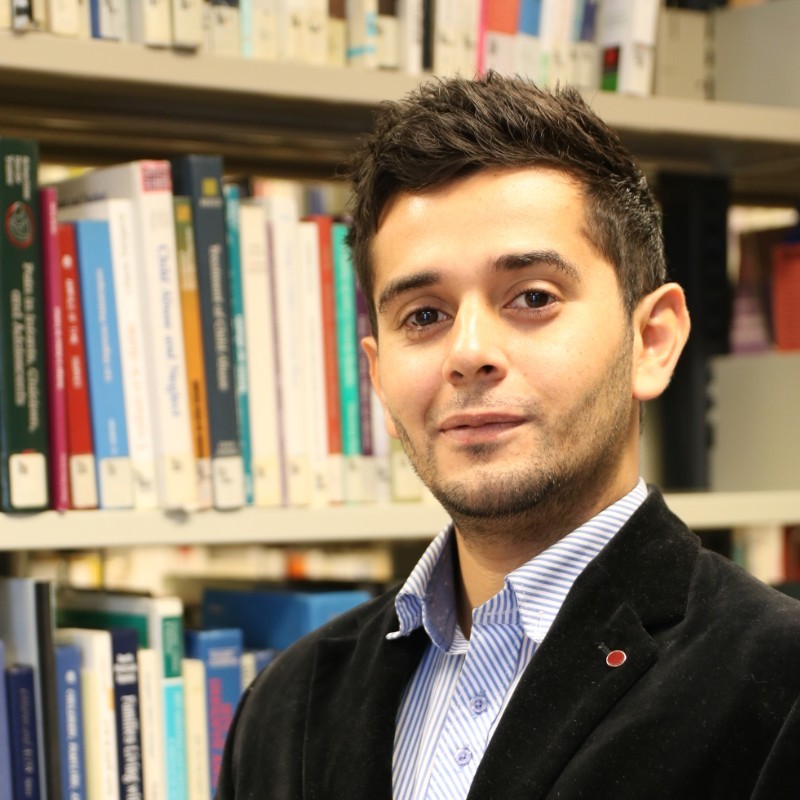 jose orlando montes de la barrera systematic review consultant for hire