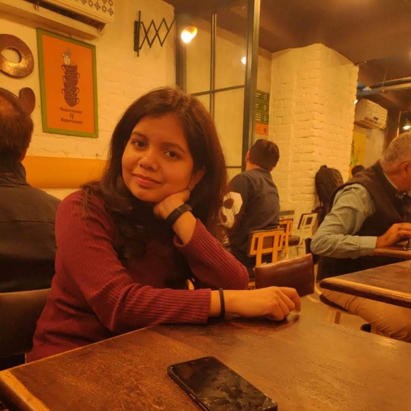 anachal singh blog article writing freelance expert