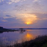 Hiroshi S. - Doctor of Philosophy (Ph.D) - Subject Matter Expert from Kolabtree