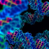 Sangeeta S. - Doctorate - Subject Matter Expert from Kolabtree