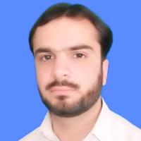 Zafar A. - Ph.D. - International Center for Chemical and Biological Science, University of Karachi - Subject Matter Expert from Kolabtree