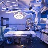 Hamza E. - Bachelor medicine - Subject Matter Expert from Kolabtree