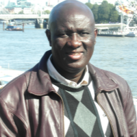 olusegun ajigini information systems freelance expert