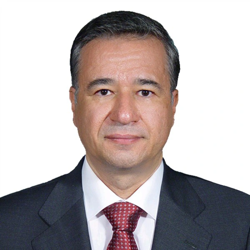 Arash B. - Post-doctoral Fellow - Subject Matter Expert from Kolabtree