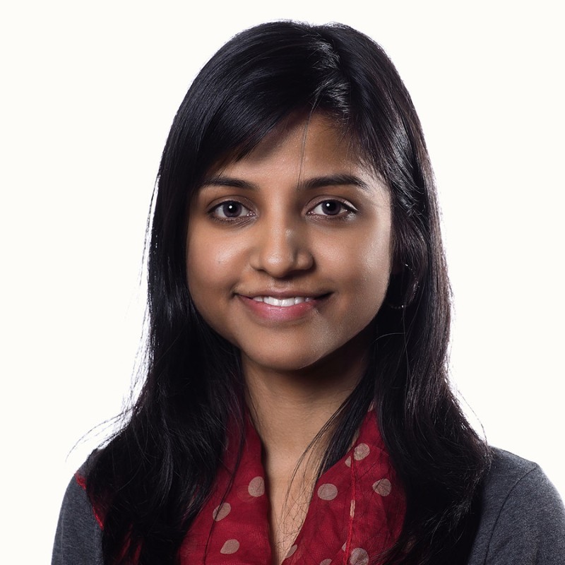 piyali chakraborty phd chemical engineering consultant for hire