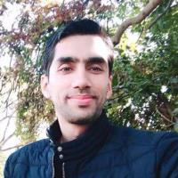 Jebi S. - PhD Biotechnology - Subject Matter Expert from Kolabtree