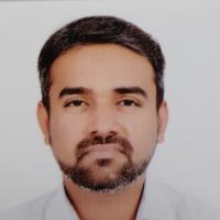 Raza H. - M.E - Electrical Engineer - Subject Matter Expert from Kolabtree