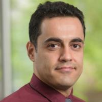 Saman S. - MD - Subject Matter Expert from Kolabtree