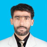 Muhammad K. - Computer Science - Subject Matter Expert from Kolabtree