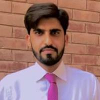 Fakhar U. - PhD - Subject Matter Expert from Kolabtree