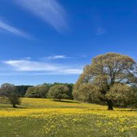 Joseph W. - Ph.D. Curriculum & Instruction: Math Education - Subject Matter Expert from Kolabtree