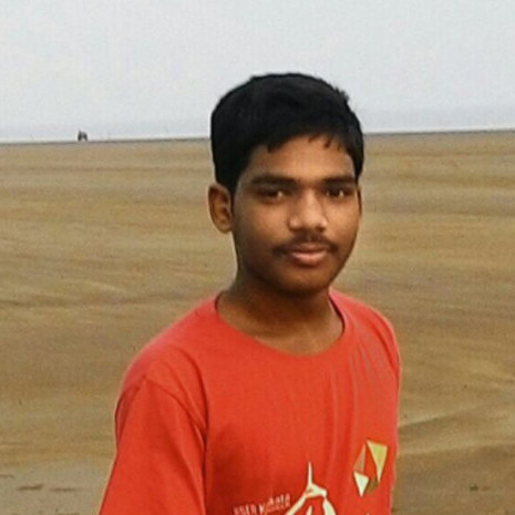 Bikash Kumar B. - Integrated BS-MS (Bachelor of Science-Master of Science) - Department of Physics - Subject Matter Expert from Kolabtree