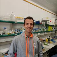 Marco  C. - PhD student - Sezione di Biochimica - Subject Matter Expert from Kolabtree