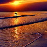 hire freelance behavioral medicine expert mariya rizwan