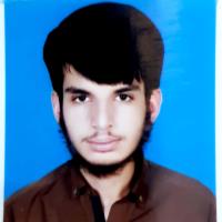 Walid I. - Cambridge A level - Subject Matter Expert from Kolabtree