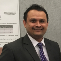 Pramesh Kumar D. - PhD (Food Engineering) - Subject Matter Expert from Kolabtree