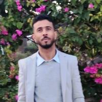 hire freelance economics expert ali ahmadi