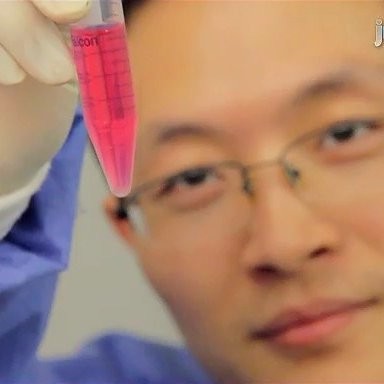 Xiang X. -  - Subject Matter Expert from Kolabtree