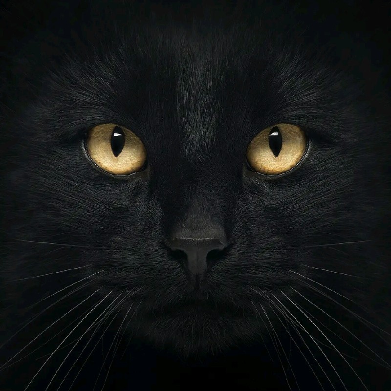 MADIYA W. - MTECH - Processing and Food Engineering - CoAE&amp;T - Subject Matter Expert from Kolabtree