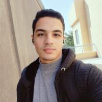 Karim O. - bachelors in biotechnology - Subject Matter Expert from Kolabtree