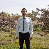 Zacharias R. - PhD in Physics - Department of Physics and Applied Mathematics - Subject Matter Expert from Kolabtree