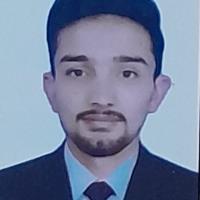 Muhammad N. - Bachelor of Engineering (Honours) Electrical and Electronics Engineering - Subject Matter Expert from Kolabtree