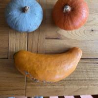 Laura  G. - BSc Nutrition and Dietetics - Subject Matter Expert from Kolabtree