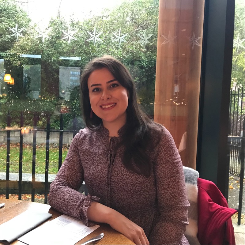 reem elfarra freelance internal medicine expert for hire