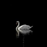 Sadaf S. - B.S. (Physics) - Subject Matter Expert from Kolabtree