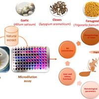 Sara A. - PHD - MICROBIOLOGY - Subject Matter Expert from Kolabtree