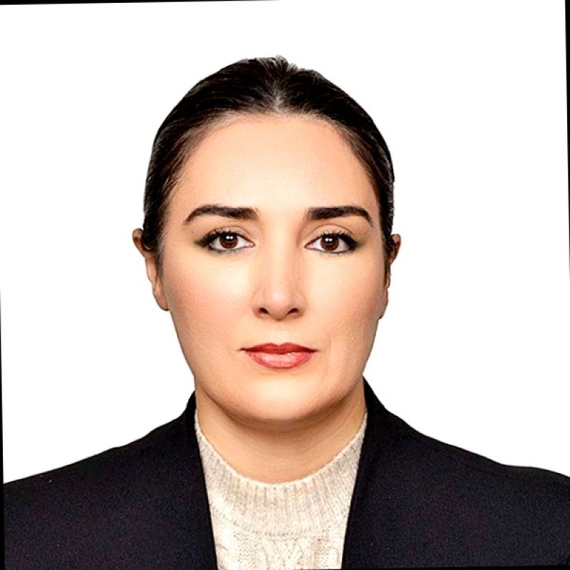 irfan emadi freelance biomedicine expert for hire