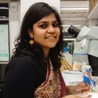 Manal S. - PhD Neuroethology - Subject Matter Expert from Kolabtree