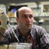 David A. - PhD - Subject Matter Expert from Kolabtree