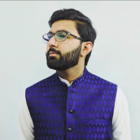 haris hassan data visualization freelance expert