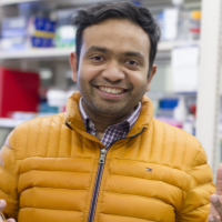 aakash basu freelance microscopy expert for hire