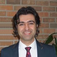 Mojtaba R. - PhD - Subject Matter Expert from Kolabtree