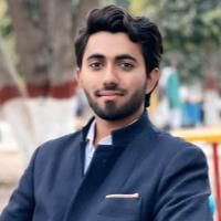 Ali A. - BS Statistics - Subject Matter Expert from Kolabtree