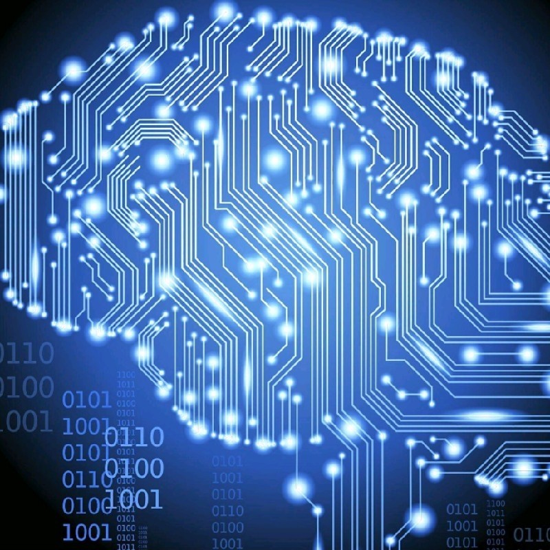 Khizra A. - Masters of Science - Subject Matter Expert from Kolabtree