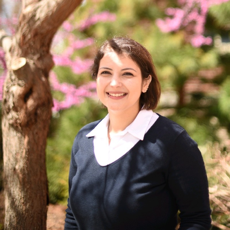 zaynab shakkour manuscript writing consultant for hire