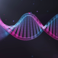 vinitkumar patel rna freelancer for hire