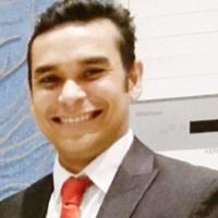 Syed Z. - PhD Aerospace Engineering - Subject Matter Expert from Kolabtree