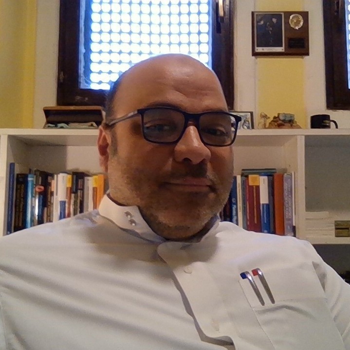 Ahmed H. - Doctor of Philosophy - (Advisor: Noah Hershkowitz) - Nuclear Engineering &amp; Engineering Physics - Subject Matter Expert from Kolabtree