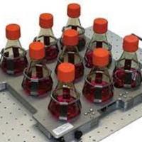 R. T. - BSc - Biology - Subject Matter Expert from Kolabtree