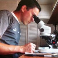 jeffry ortiz gamboa image processing consultant for hire