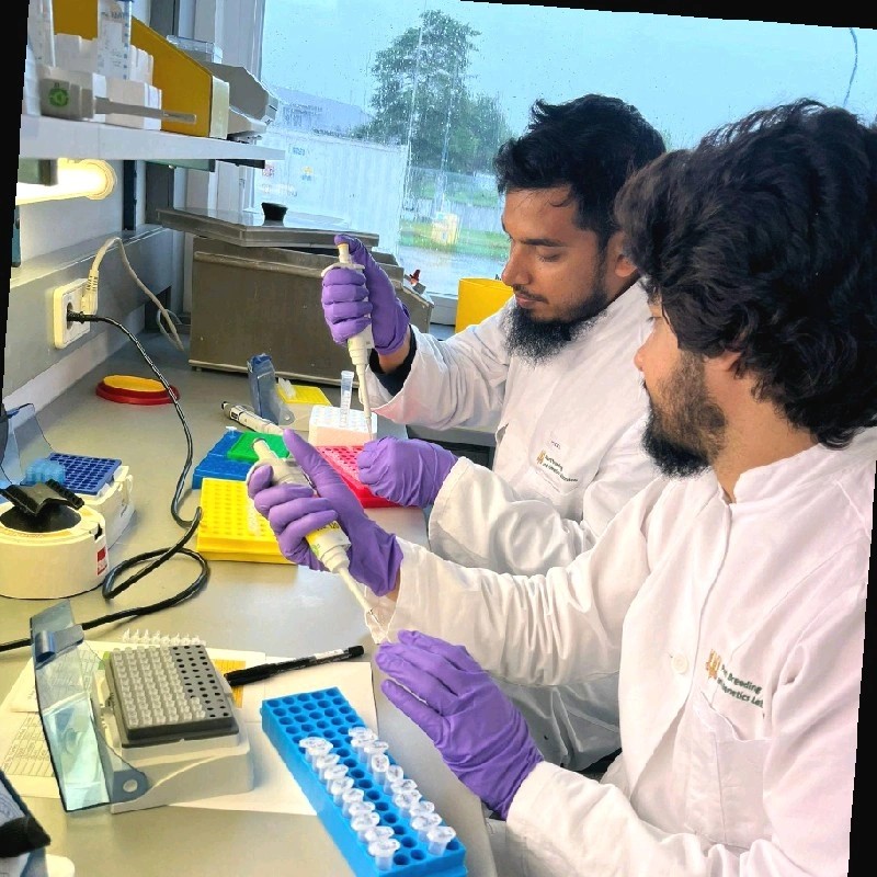 Abu Sayeed Md. H. - PhD - Subject Matter Expert from Kolabtree