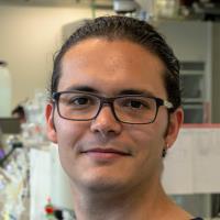 carlo sambiagio inorganic chemistry consultant for hire