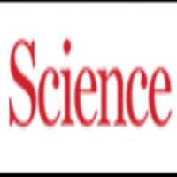 Carolina C. -  - Subject Matter Expert from Kolabtree